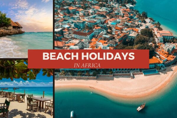 Contact Us Contact Us