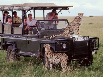 Big 5 Safaris