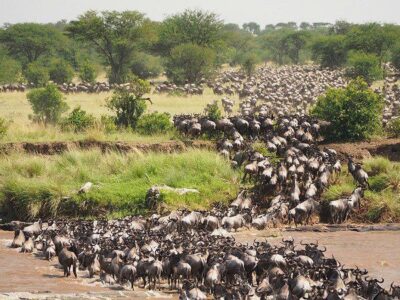 Great Migration